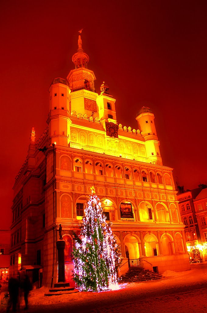 Town Hall.. - orange