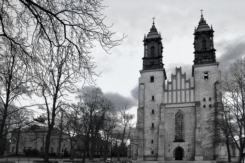 Cathedral...  b/w