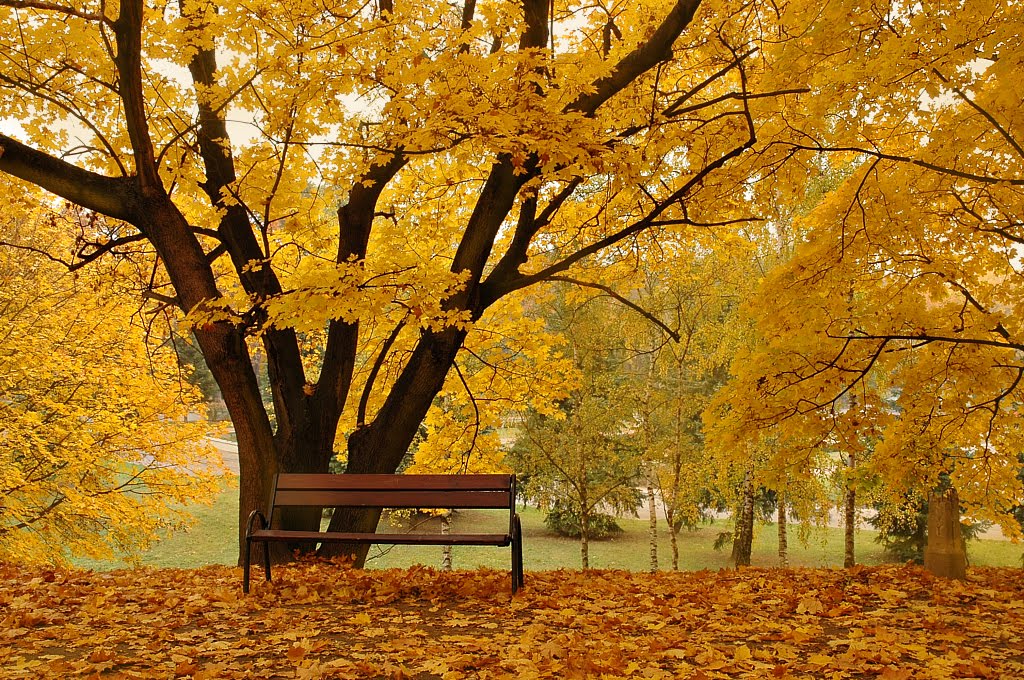 for all Friends of Panoramio ....