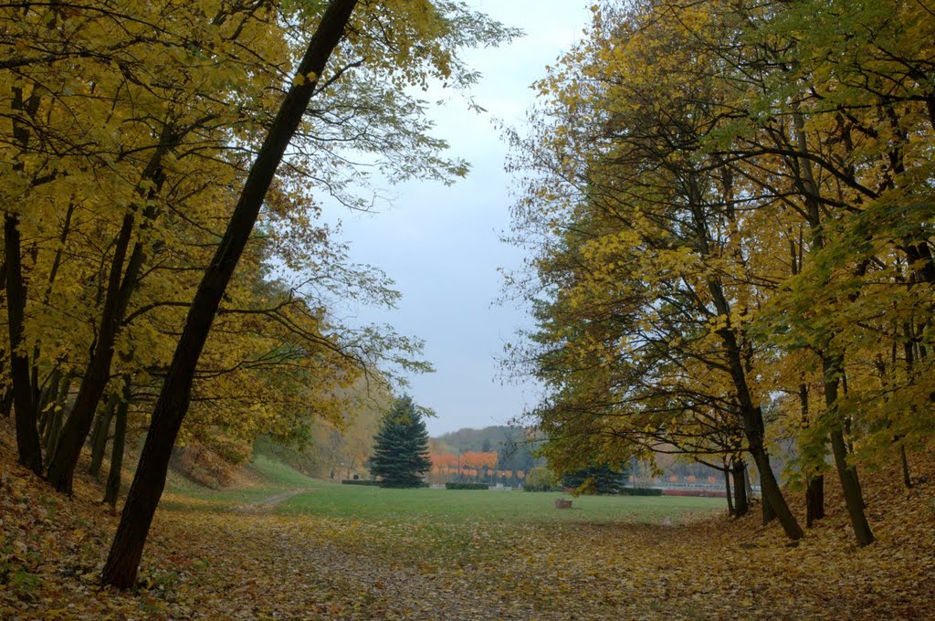 In the park in autumn
