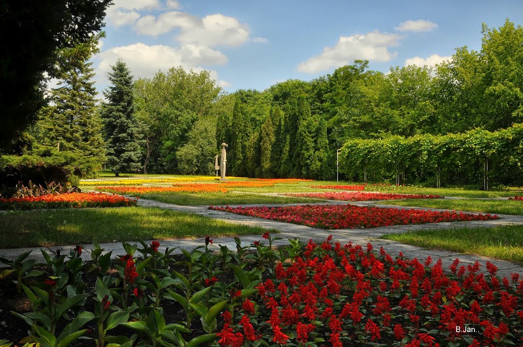 Park Cytadela, ogród kwiatów rocznych