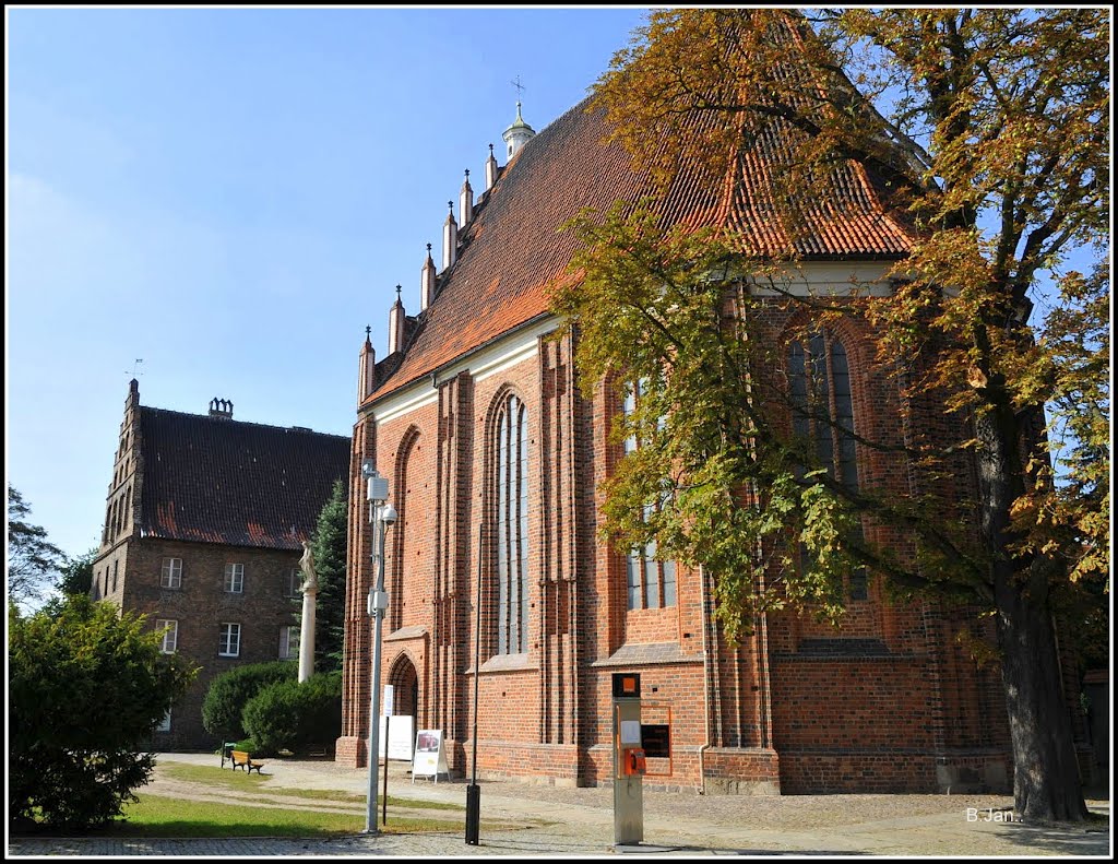 Church NMP in Poznan