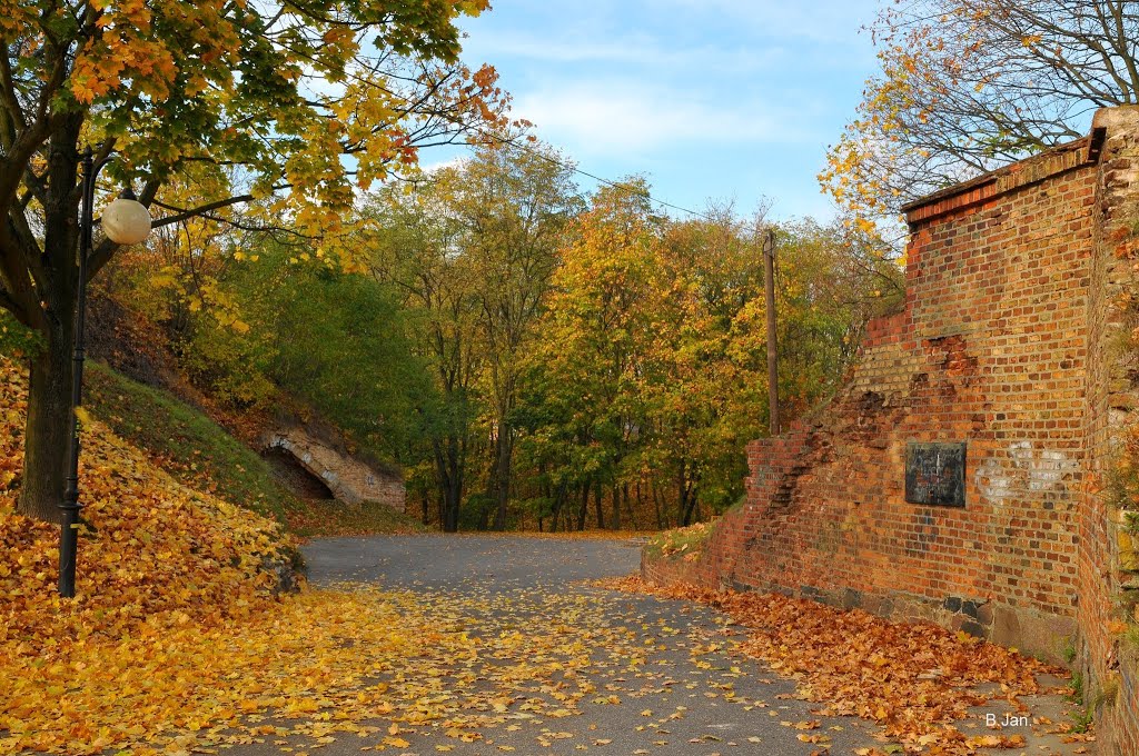 Poznan Citadel Park, autumn