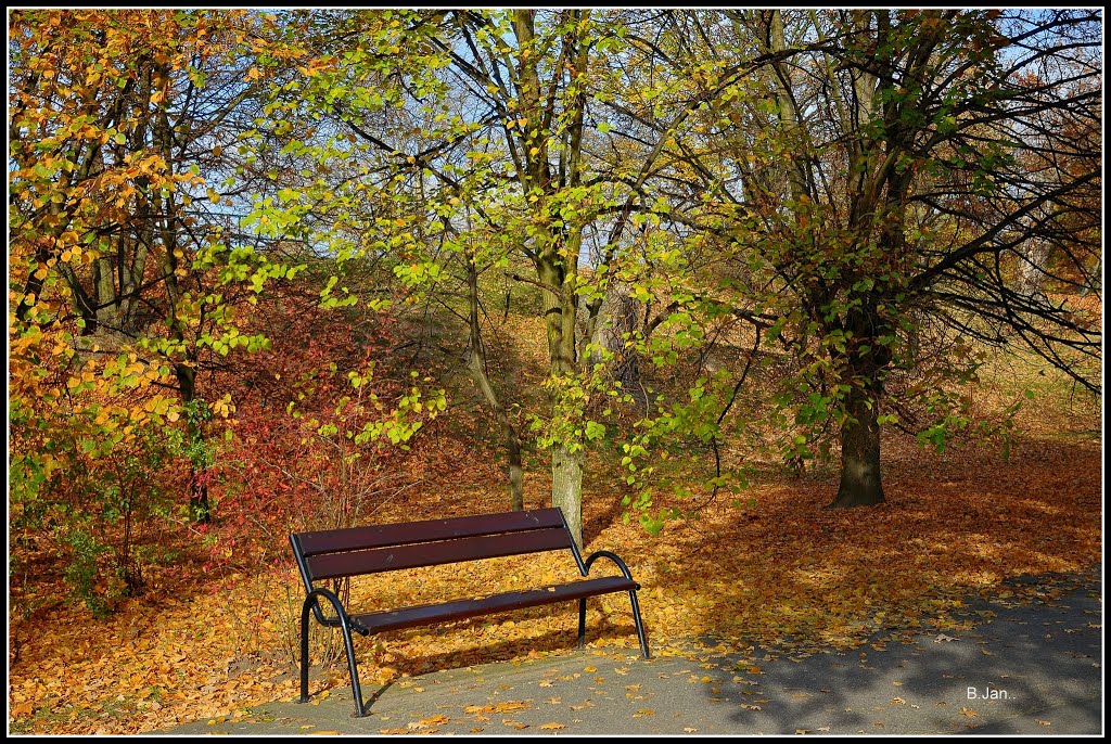 empty bench in the autumn sun