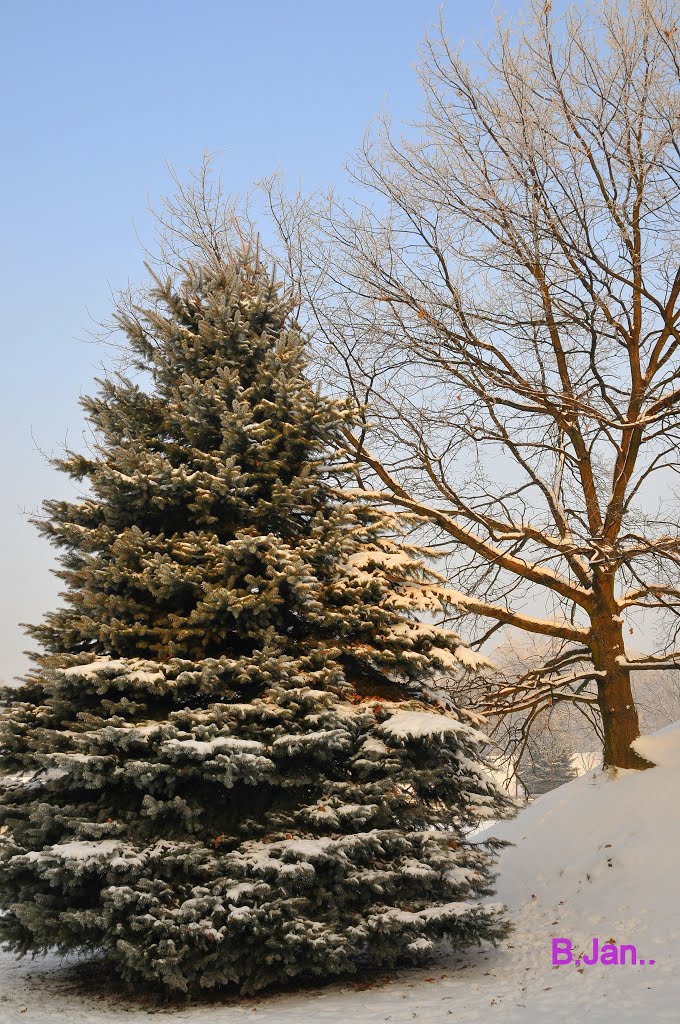 Beautiful winter day in the Citadel Park