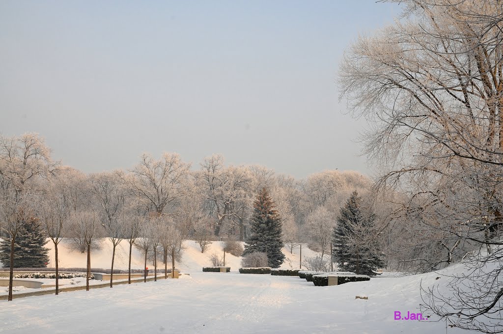 Beautiful winter day in the Citadel Park