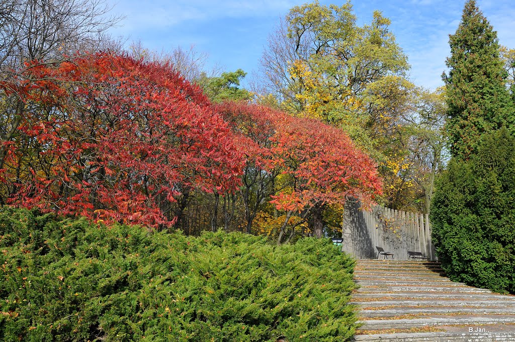 Poznań, Park Cytadela (1)