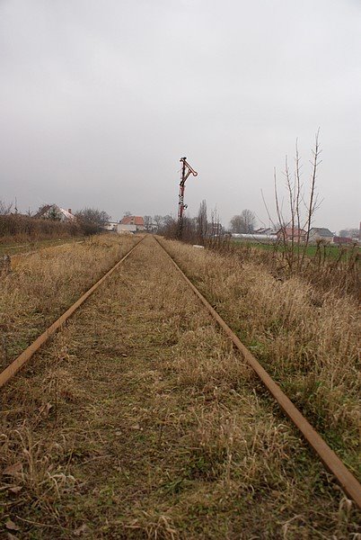 Rawicz East
