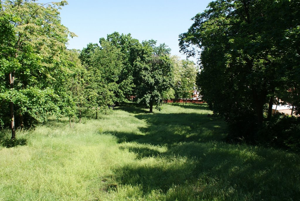 Rawicz