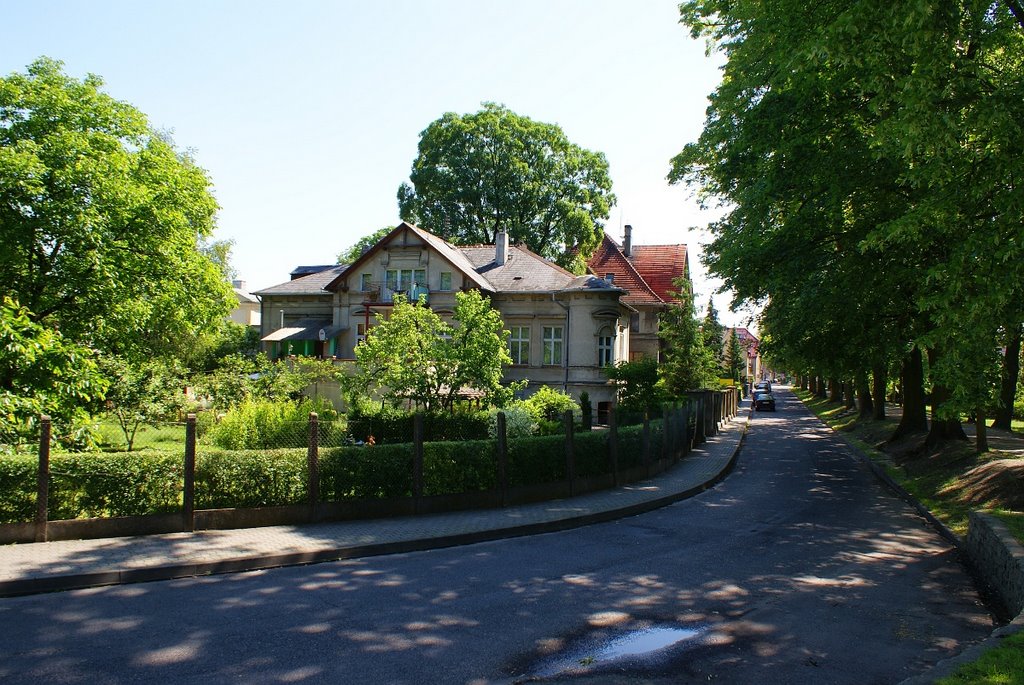 Rawicz