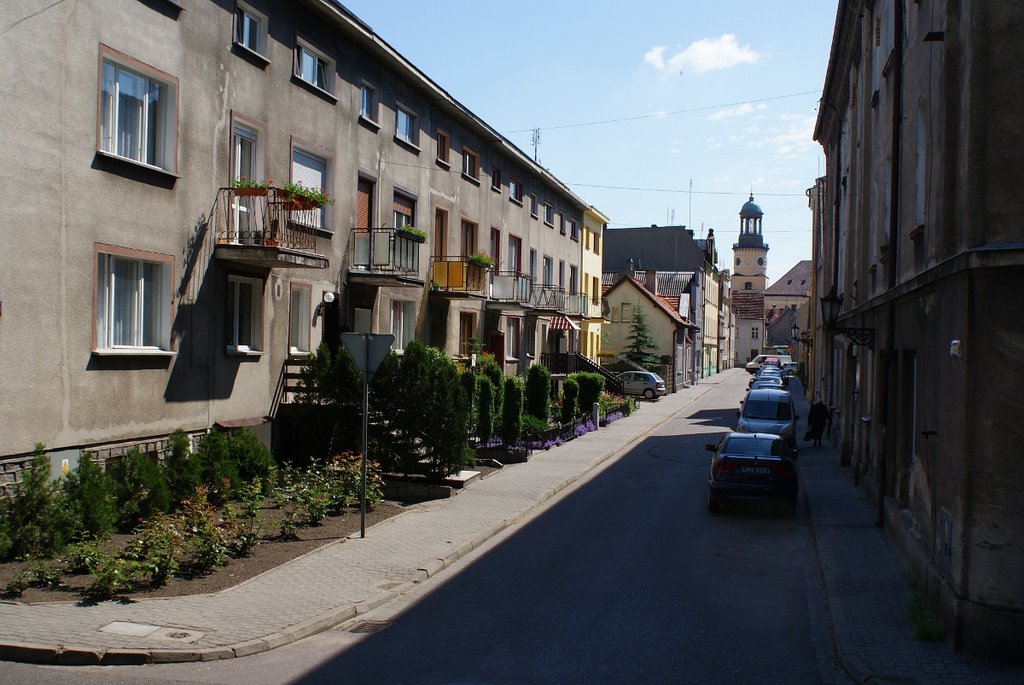 Rawicz
