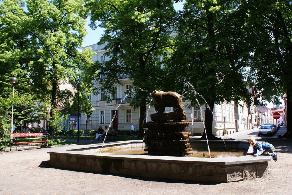 Rawicki Miś