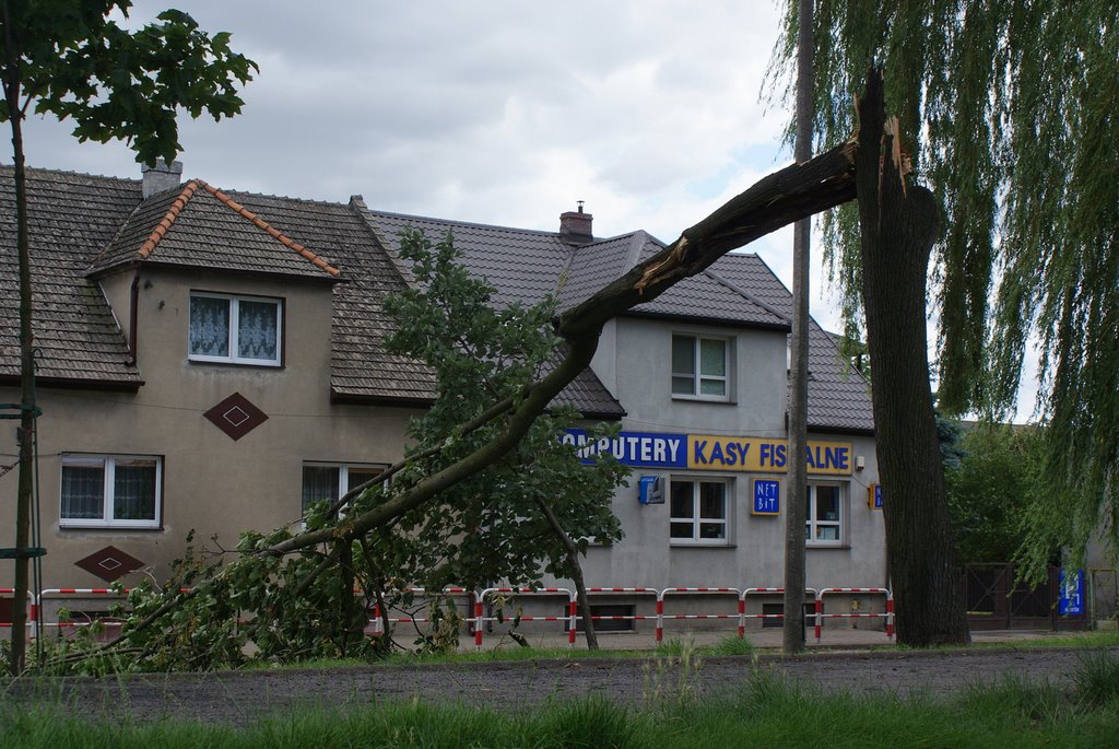 once upon a windy day