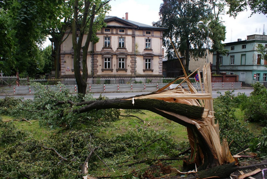 once upon a windy day