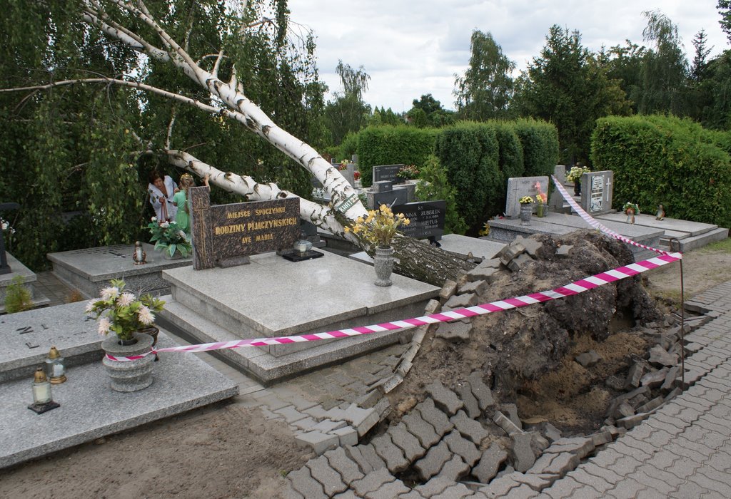 once upon a windy day - destroyed cemetery