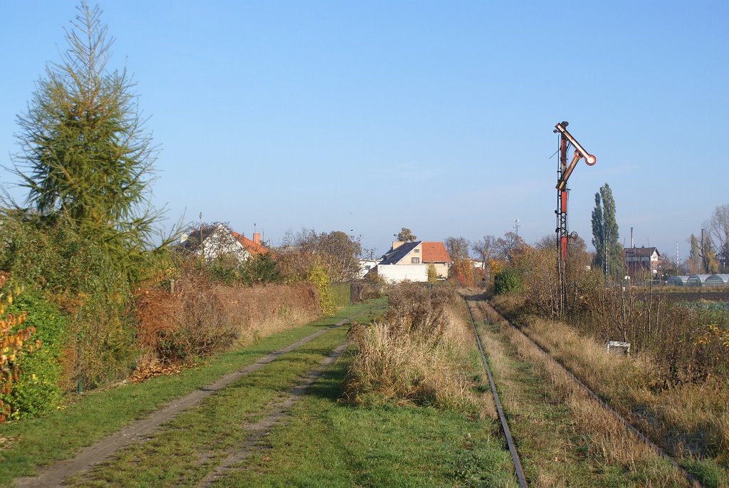 Rawicz