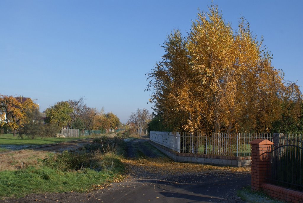Rawicz