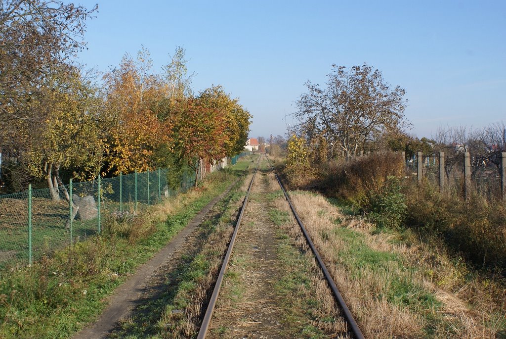 Rawicz