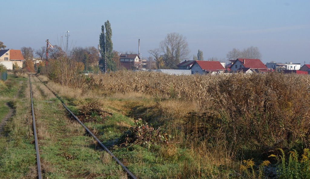 Rawicz
