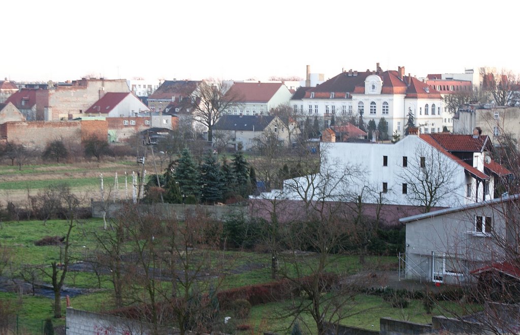 Rawicz Urząd Miasta w tle