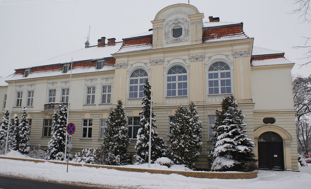 Urząd Miasta