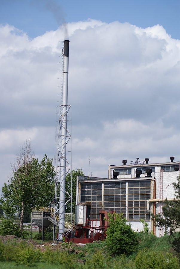 Rawicz