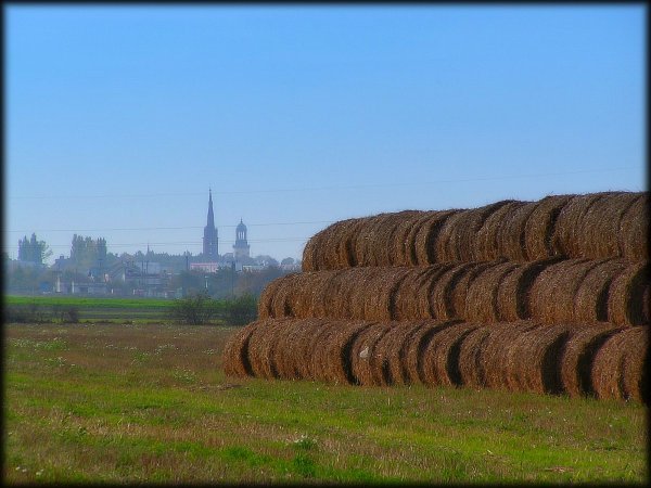 Rawicz - Churches