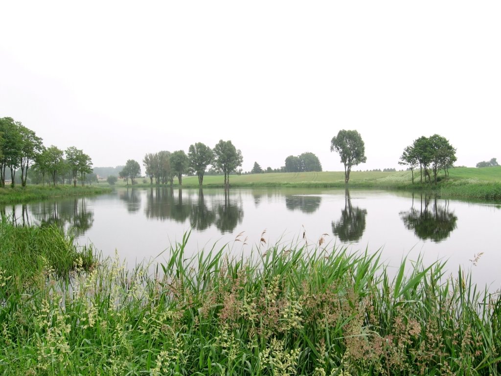 Jezioro Średzkie