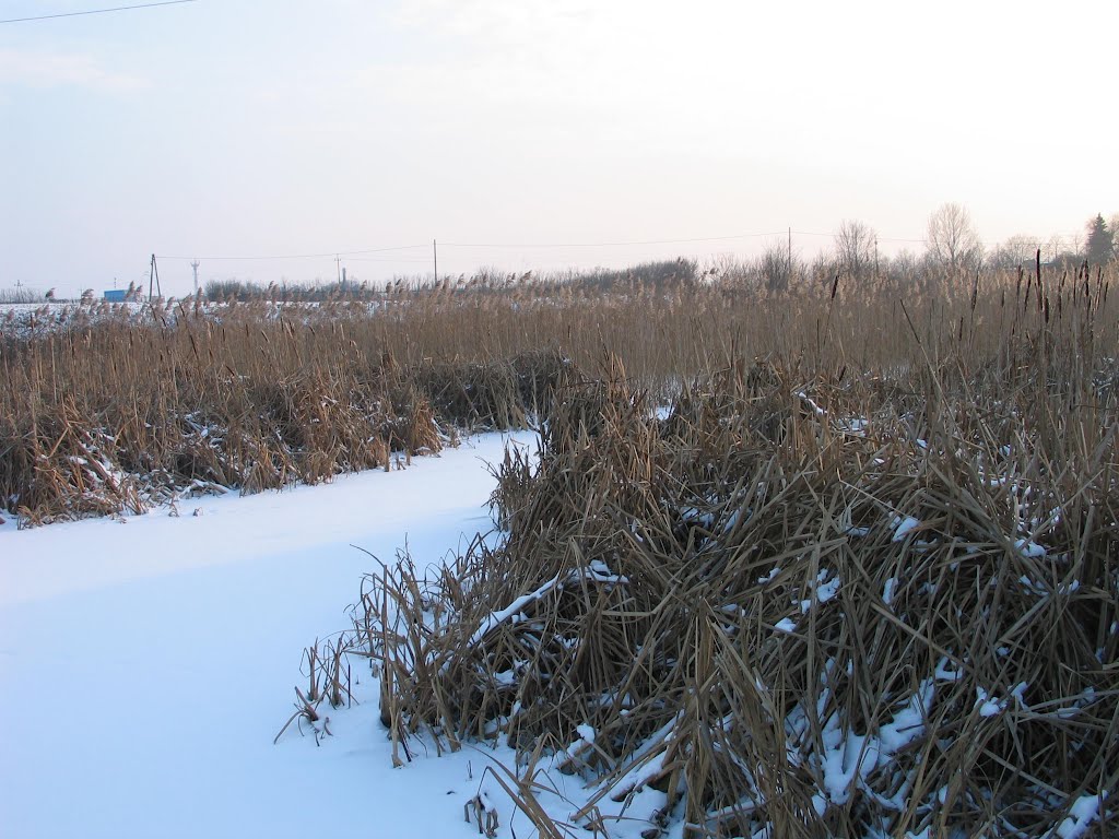 Kostrzyn