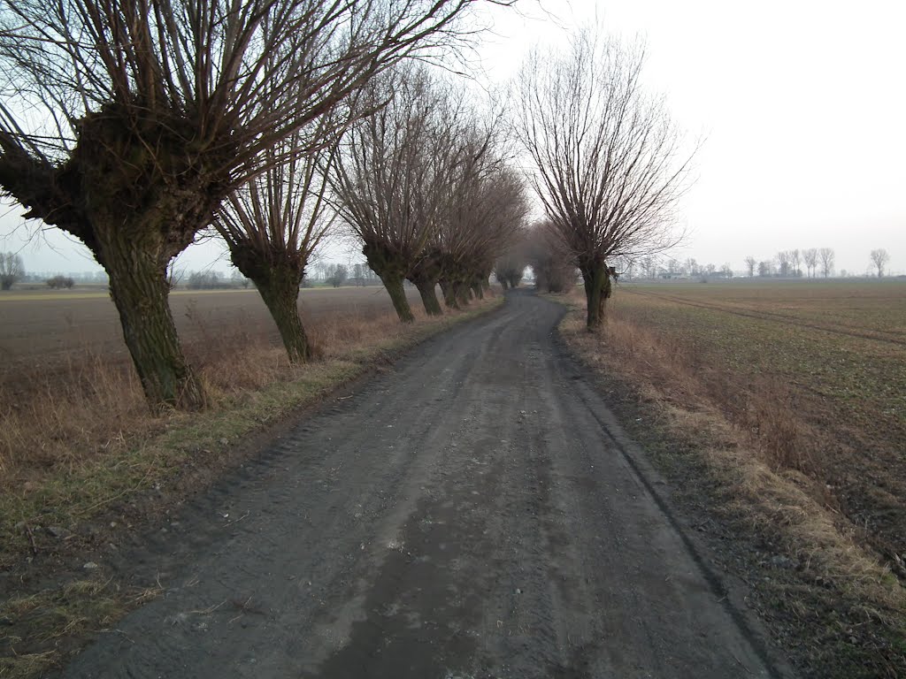 Poklatki - Markowice