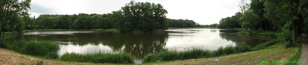Iwno - staw Deszczownia z wyspą