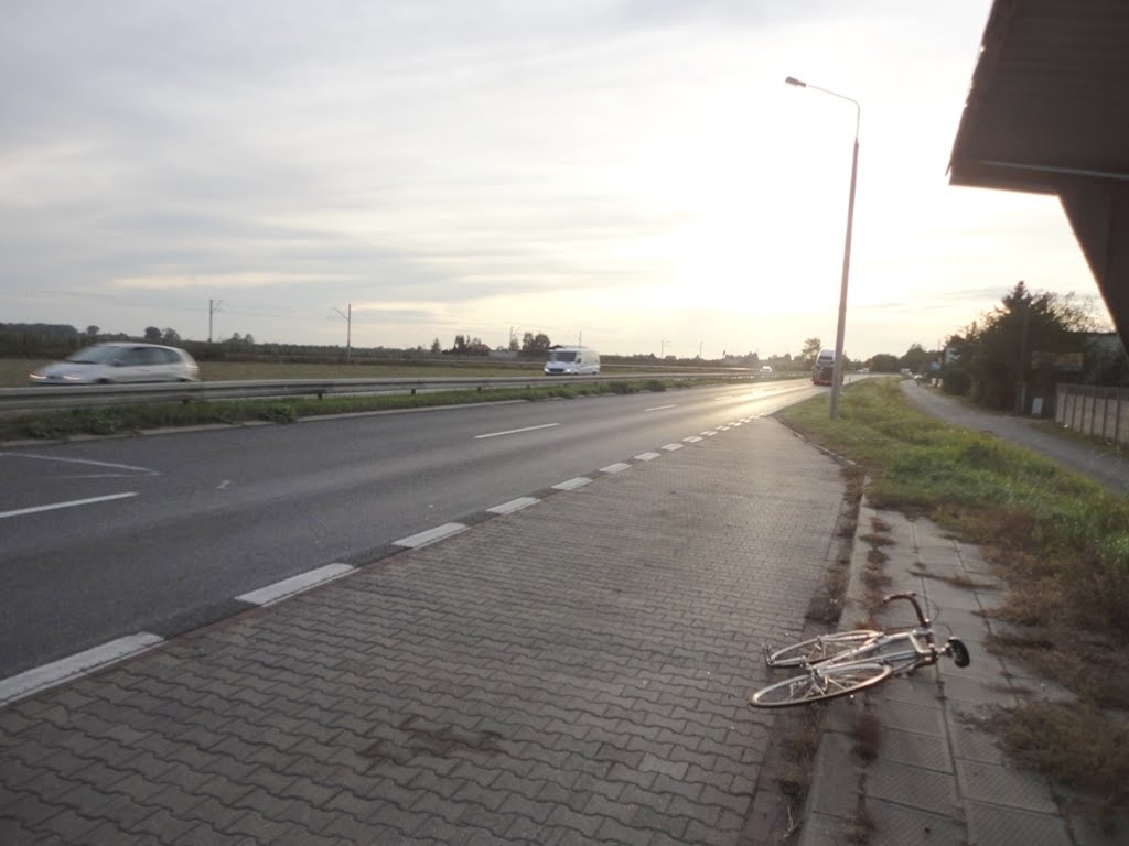 Skałowo, przystanek autobusowy, droga krajowa nr 5 do Poznania
