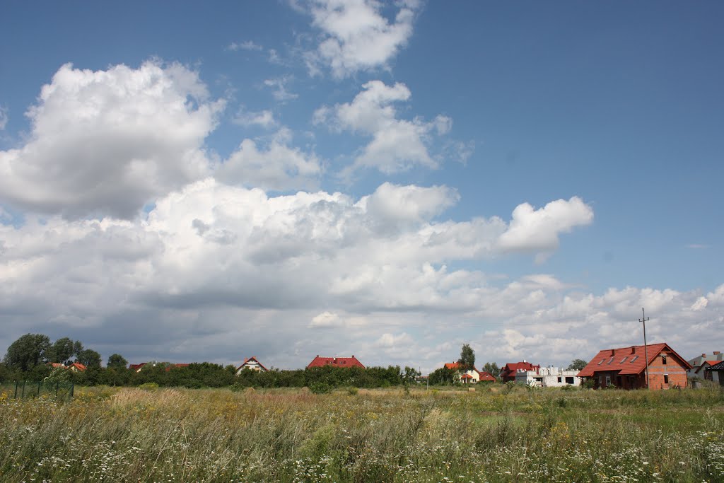 MZ...KOSTRZYN