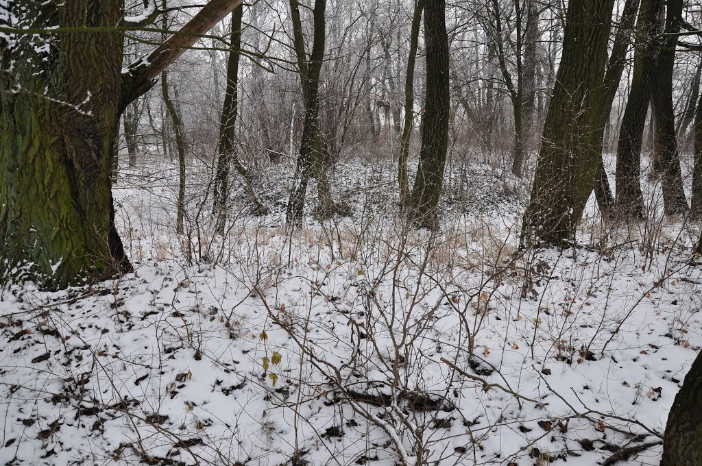 Siekierki wielkie - późnośredniowieczne grodzisko stożkowe