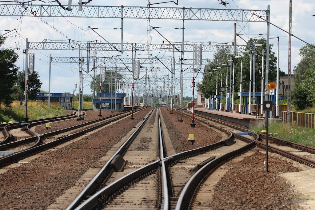 MZ...KOSTRZYN