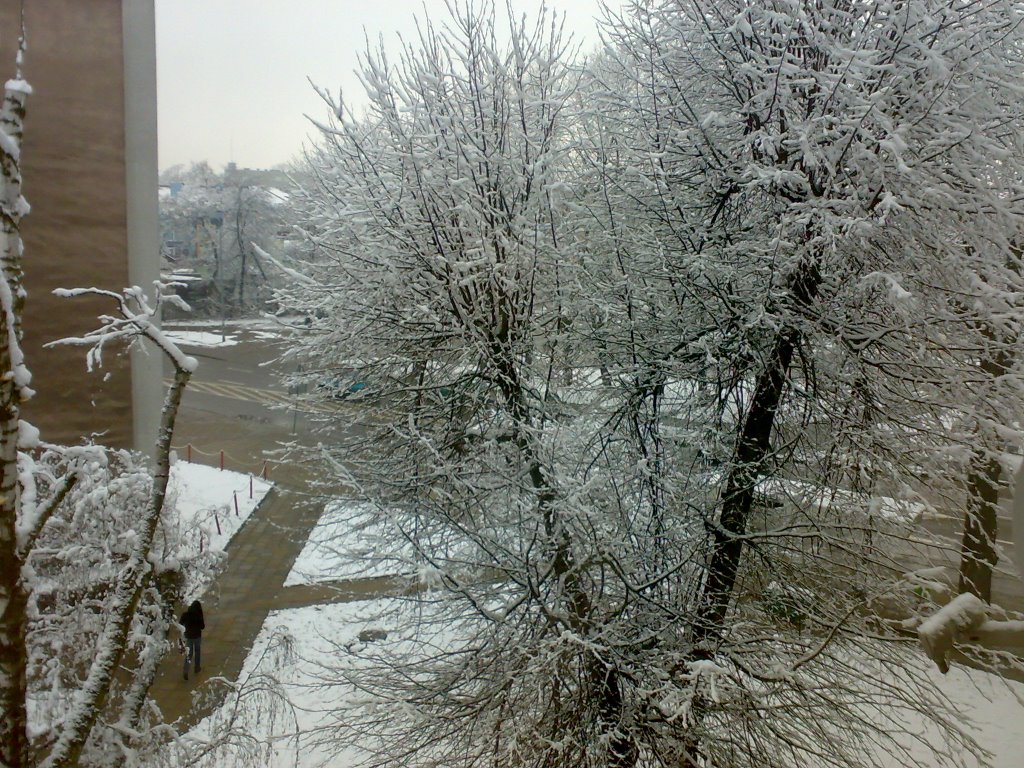 Kosla Szosa Zimą