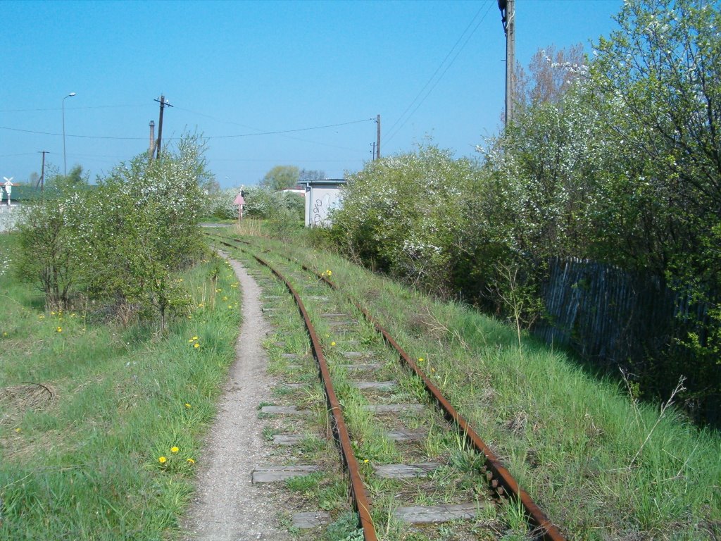 old railway track