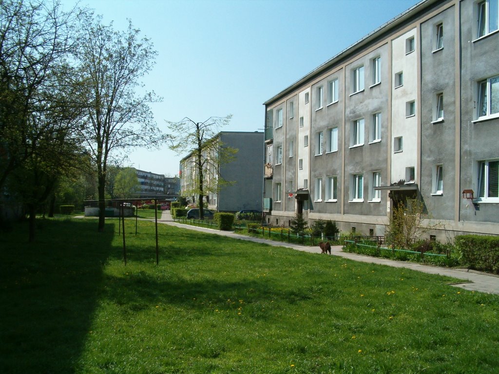 Turek - gornicze estate