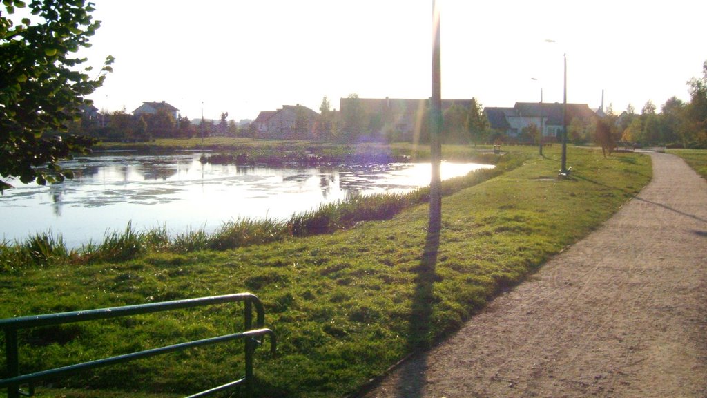 Staw w parku- Turek