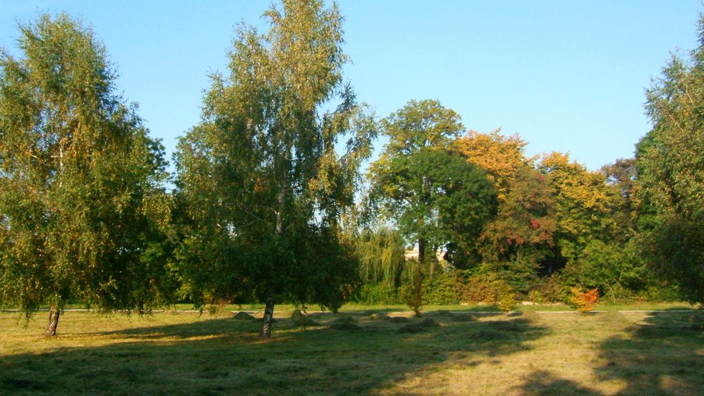 Park Turek
