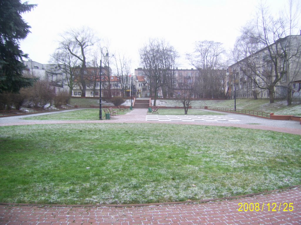 Mały park przy liceum