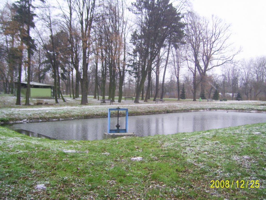 Park za urzędem miejskim