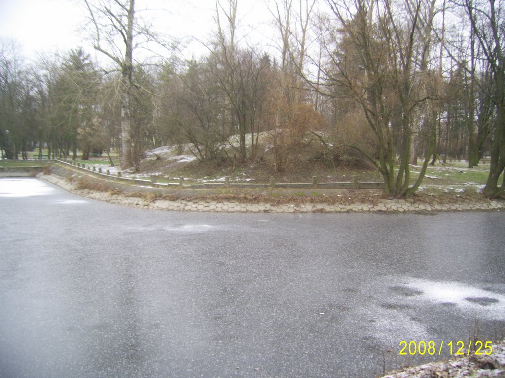 Górka w parku