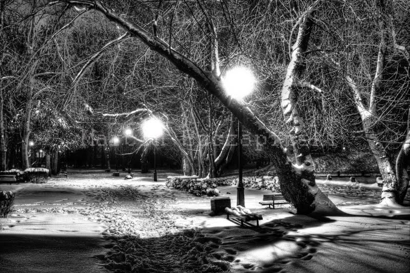 Park Zimą