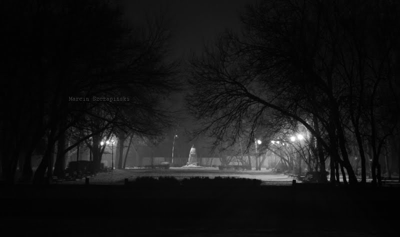Park nocą