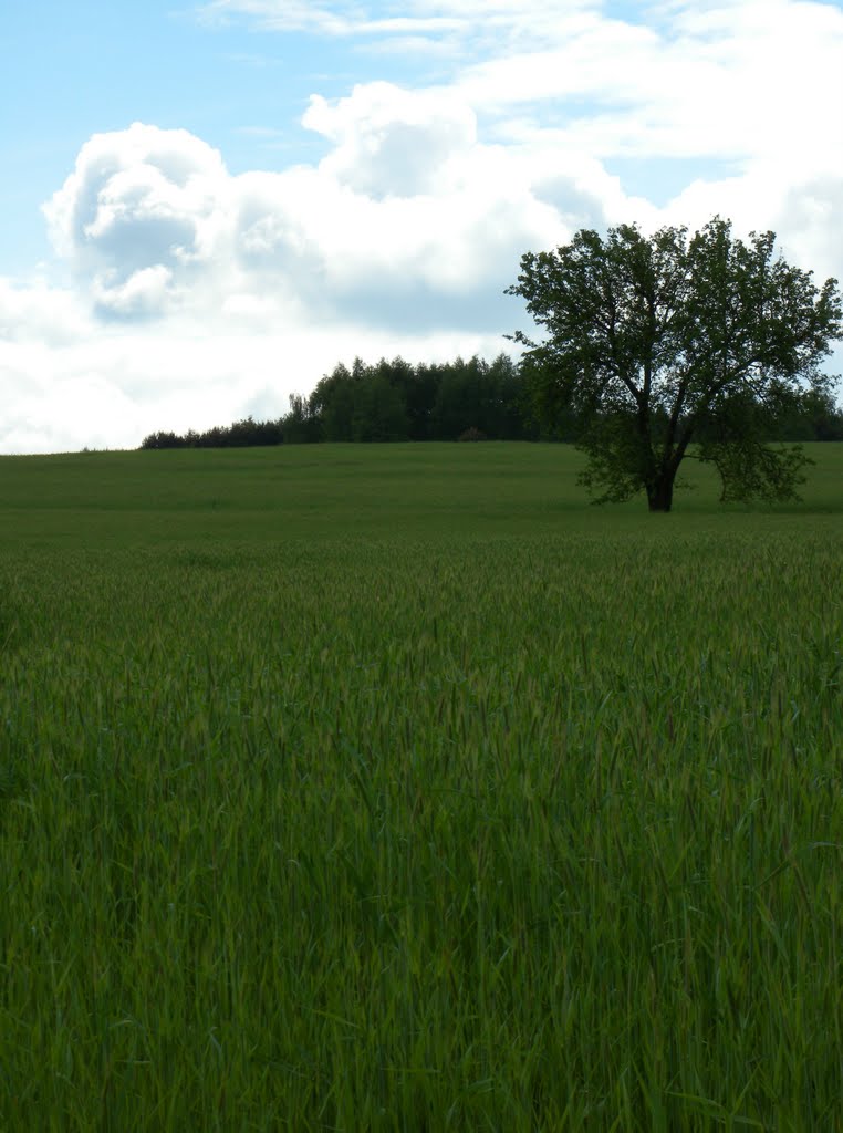 Szlak "Panorama" odcinek e3,e4 "piaski turkowickie"