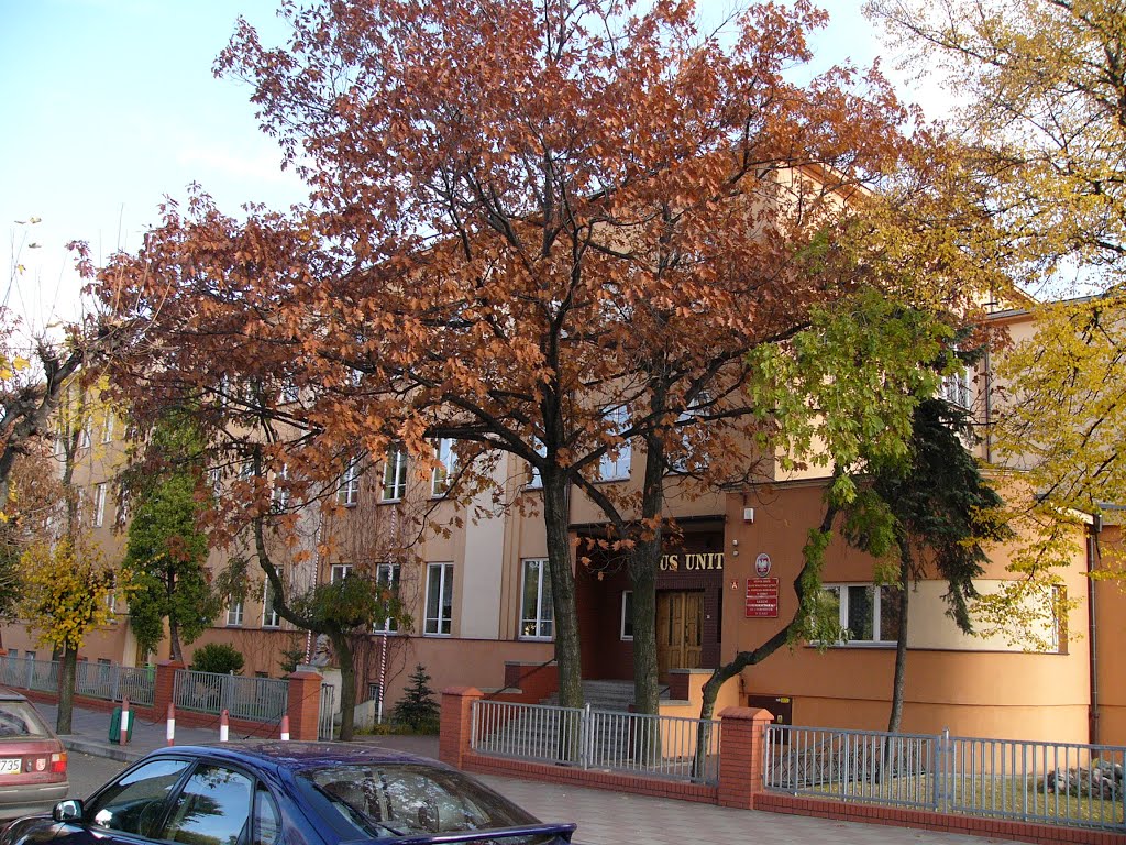 Turek - liceum im. Tadeusza Kościuszki