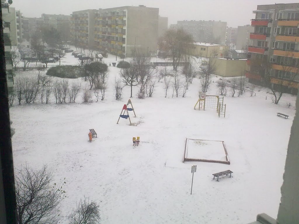 widok zza okna