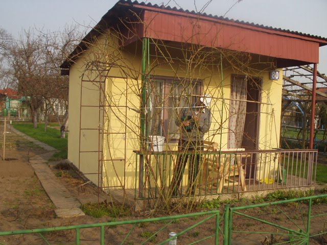 Turek, ogródki działkowe - 10.2006