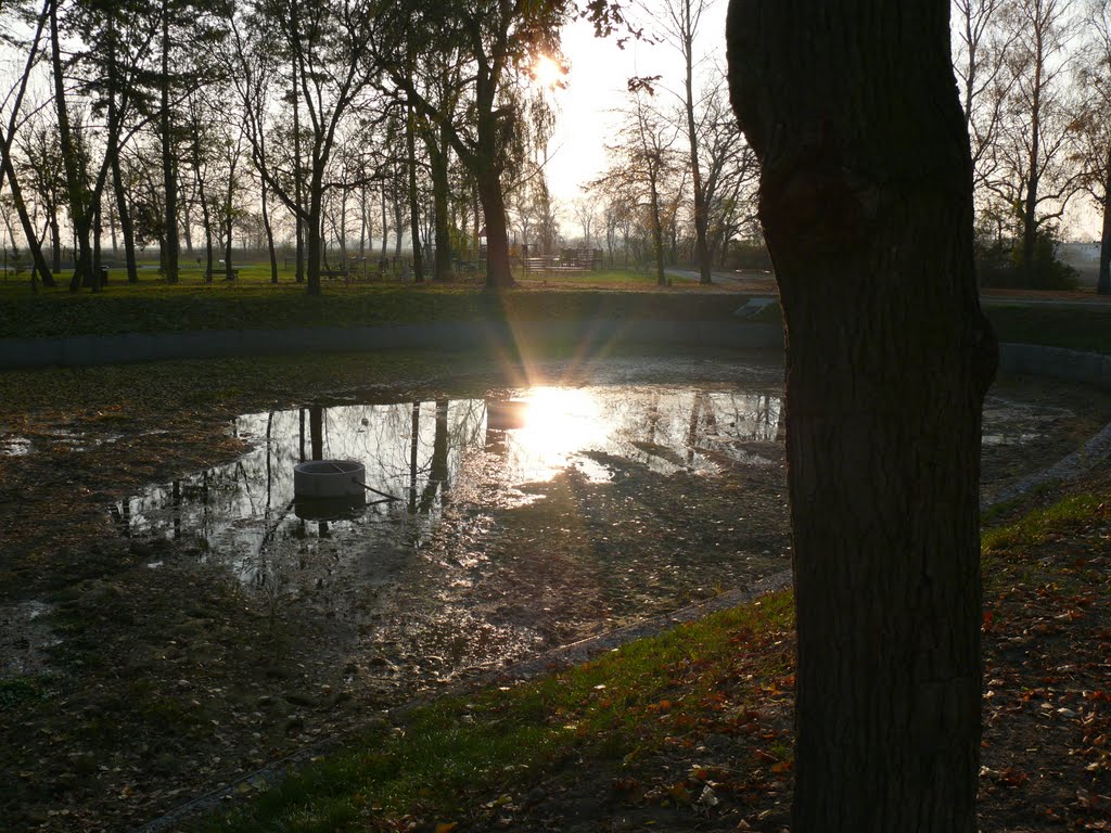Zabytkowy park w Kleszczewie Zima 2011/2012